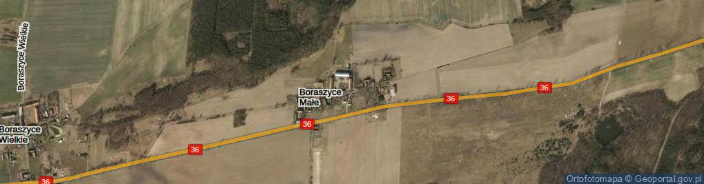 Zdjęcie satelitarne Boraszyce Małe ul.